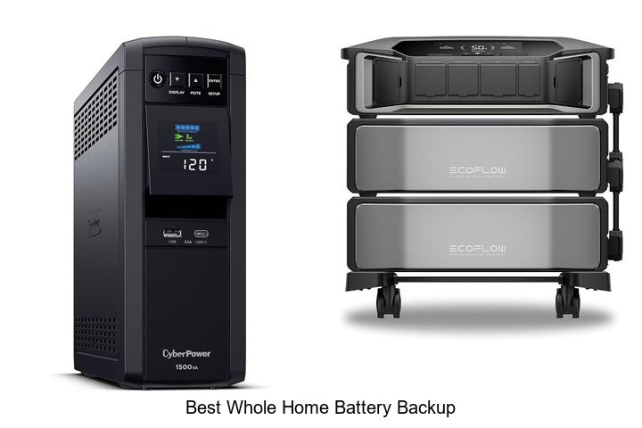 best whole home battery backup