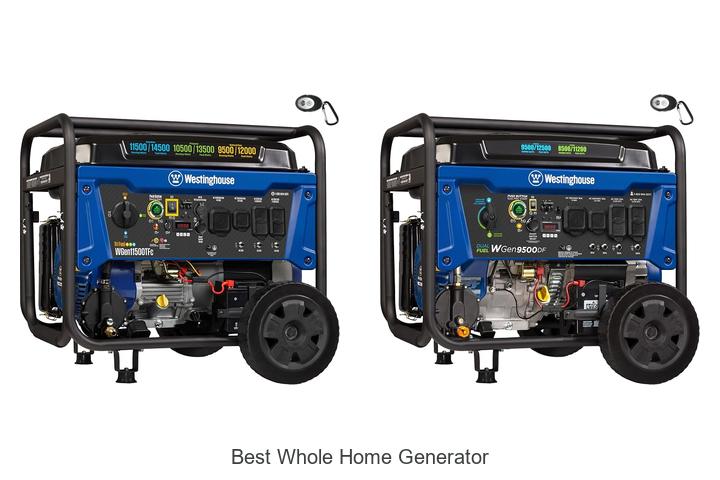 best whole home generator