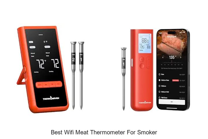 Best Wifi Meat Thermometer For Smoker That Blows Minds