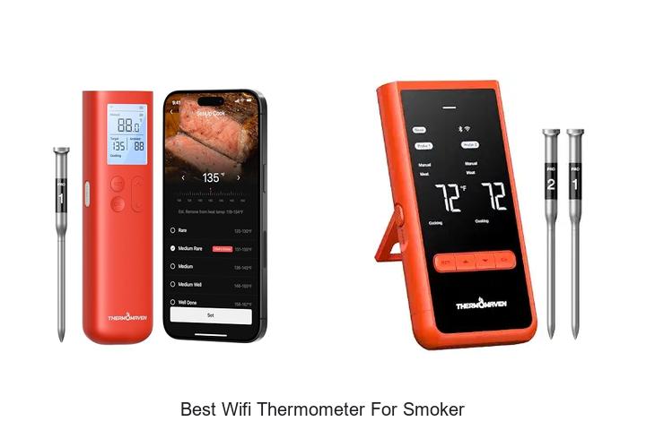 Best Wifi Thermometer For Smoker That Will Change BBQ Game