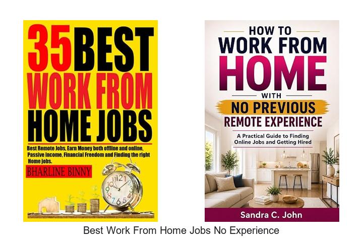 best work from home jobs no experience