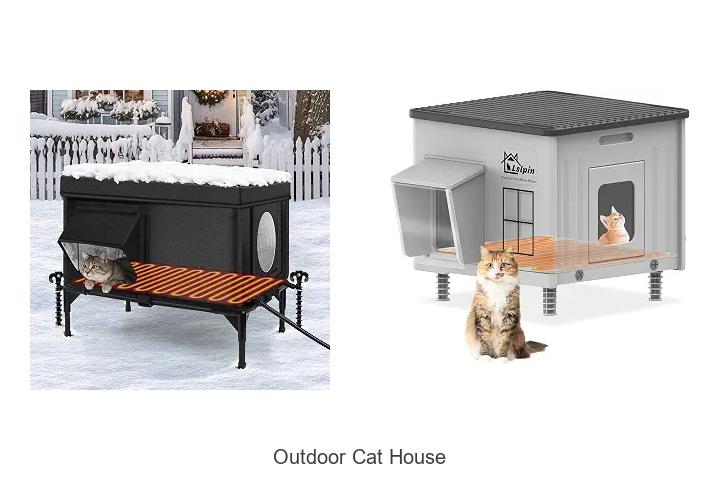 Outdoor Cat House Secrets Every Cat Owner Must Know!