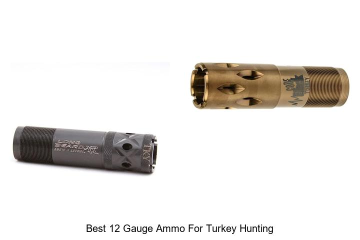 best 12 gauge ammo for turkey hunting