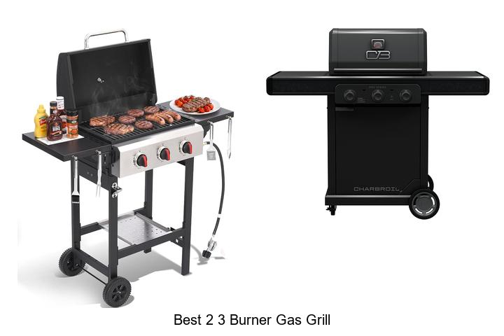 best 2 3 burner gas grill