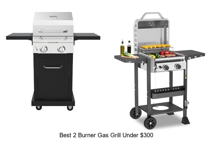 best 2 burner gas grill under 300