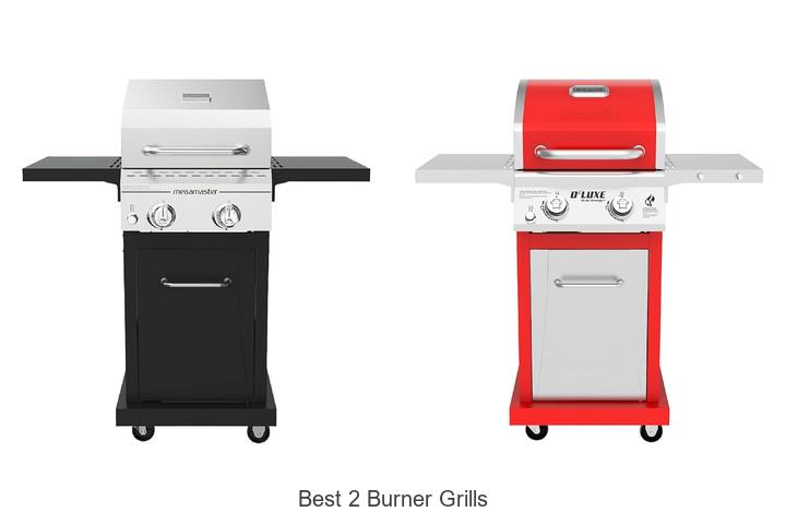 best 2 burner grills