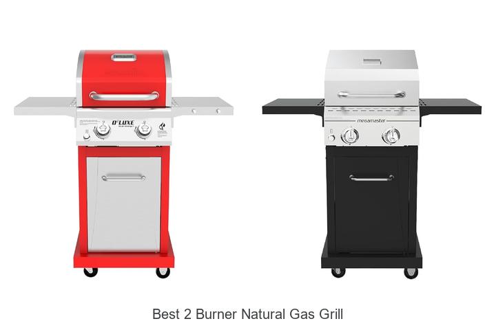 best 2 burner natural gas grill
