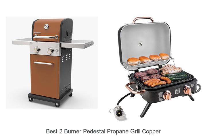 best 2 burner pedestal propane grill copper