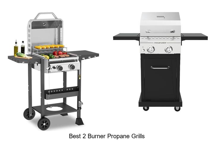 best 2 burner propane grills