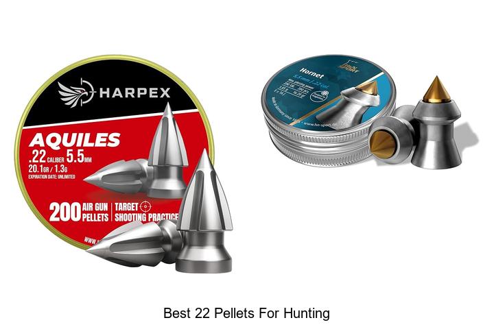 best 22 pellets for hunting