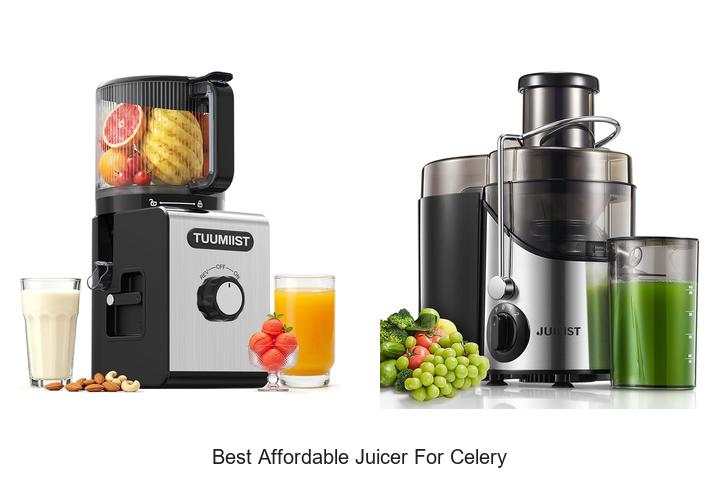 best affordable juicer for celery 1