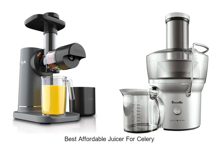 best affordable juicer for celery