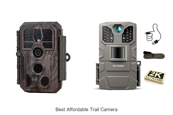 best affordable trail camera