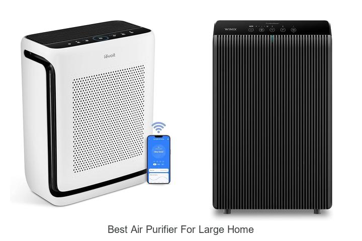 best air purifier for large home