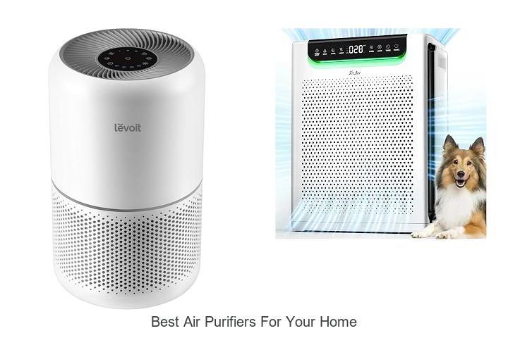 best air purifiers for your home