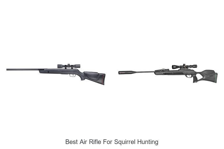 best air rifle for squirrel hunting