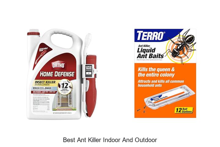 best ant killer indoor and outdoor