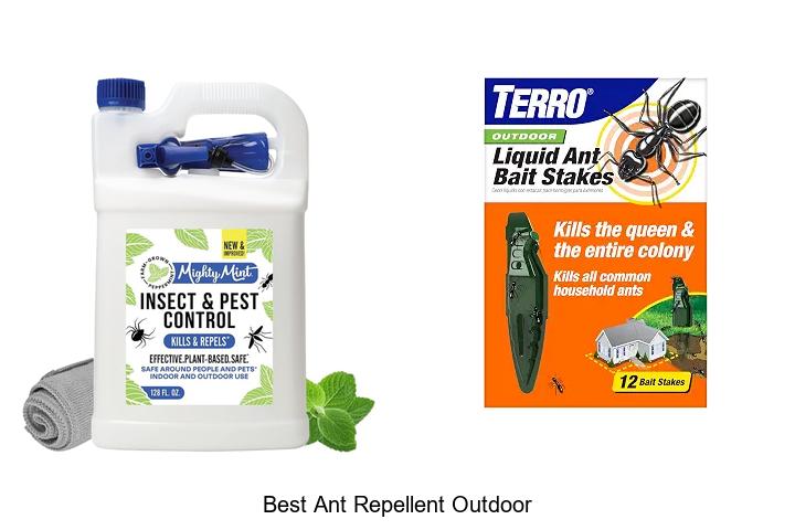 best ant repellent outdoor