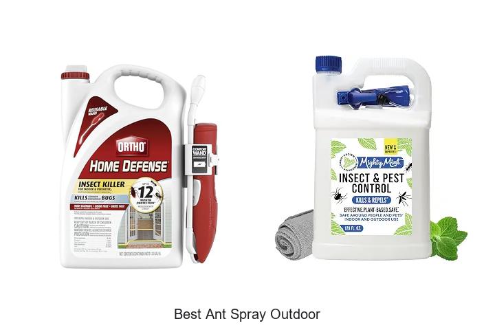 best ant spray outdoor