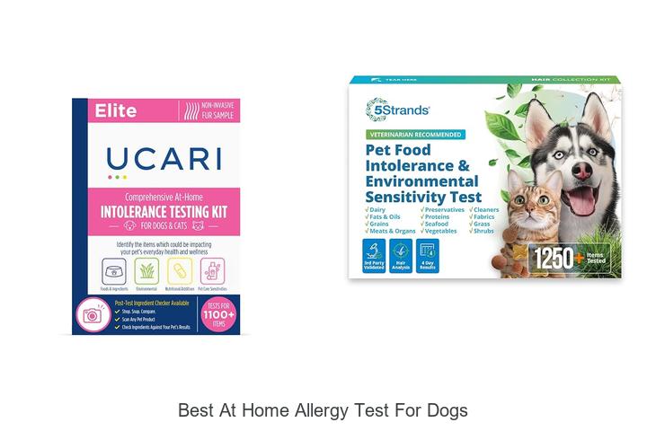 best at home allergy test for dogs