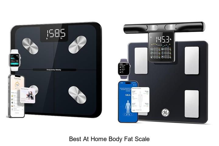 best at home body fat scale