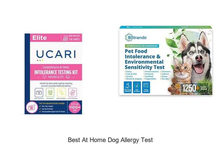 best at home dog allergy test