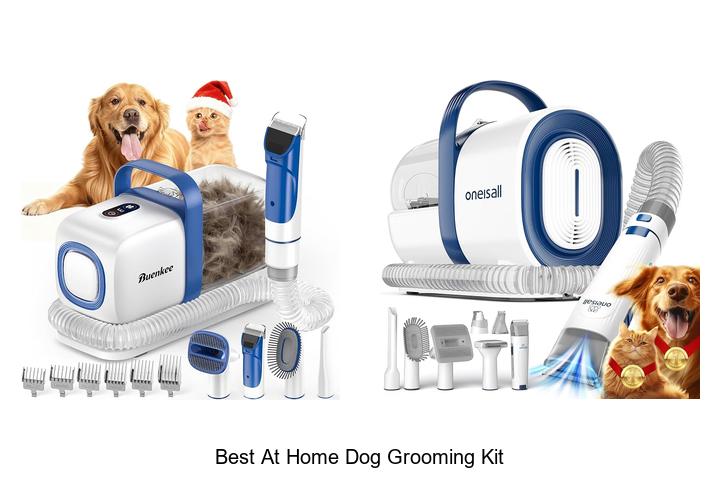best at home dog grooming kit