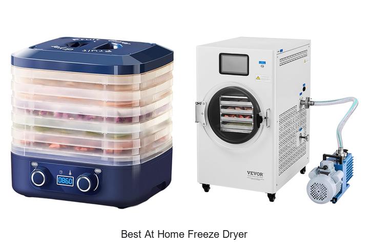 best at home freeze dryer