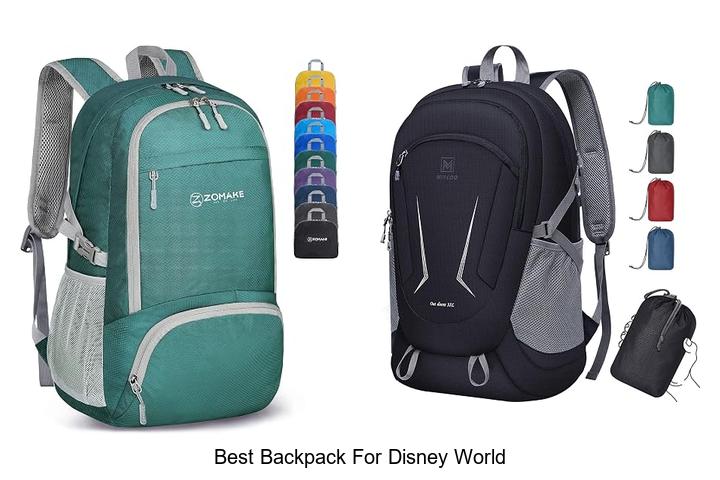best backpack for disney world