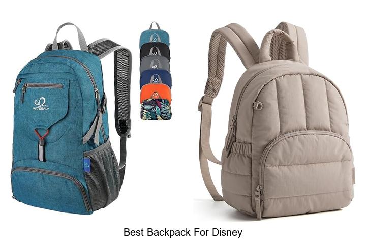 best backpack for disney