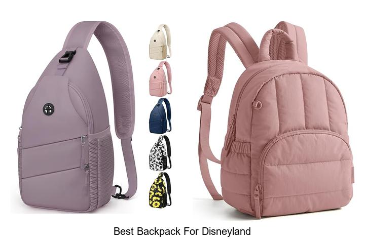 best backpack for disneyland