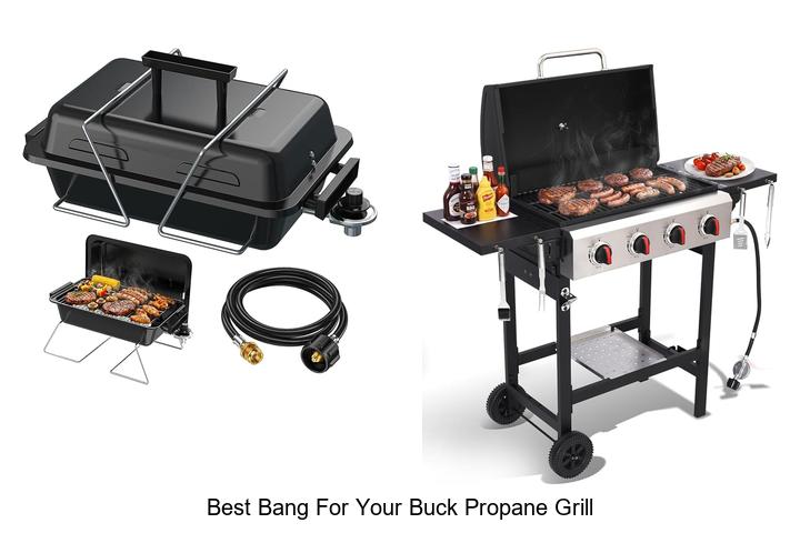 best bang for your buck propane grill
