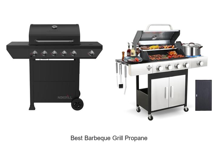 best barbeque grill propane