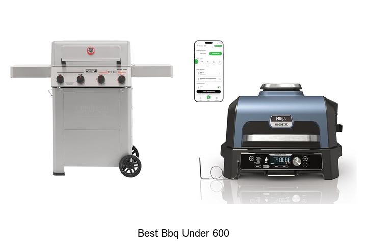 best bbq under 600