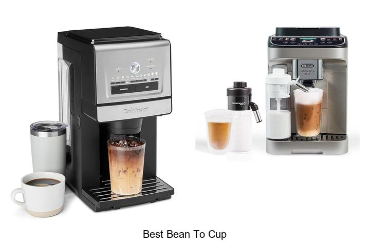 best bean to cup