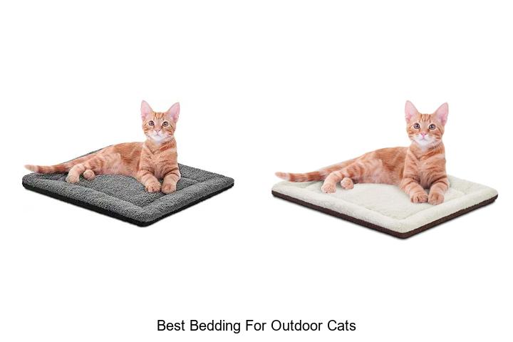 best bedding for outdoor cats