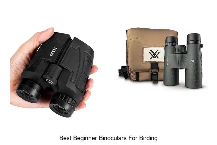 best beginner binoculars for birding