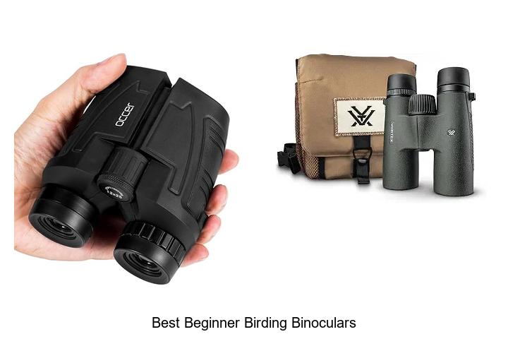 best beginner birding binoculars