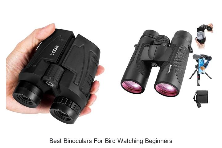 best binoculars for bird watching beginners