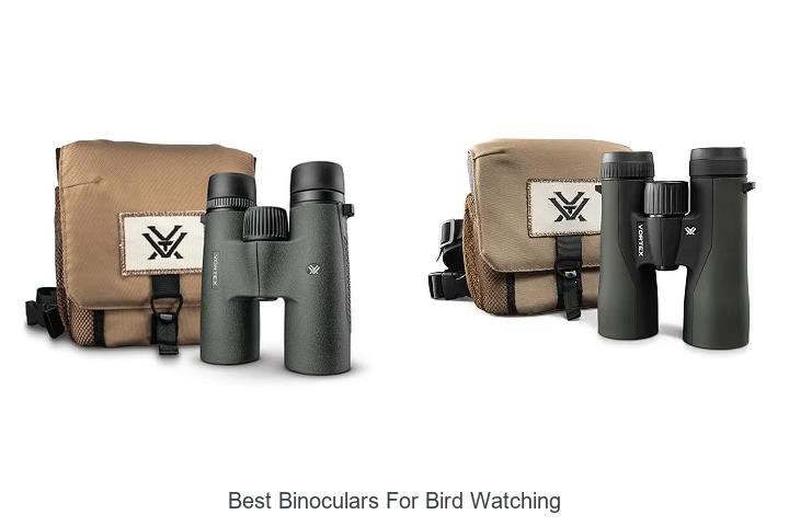 best binoculars for bird watching