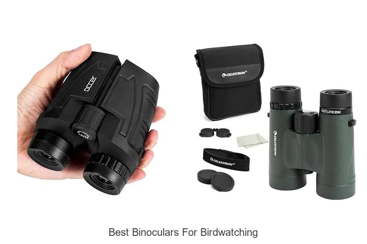 best binoculars for birdwatching