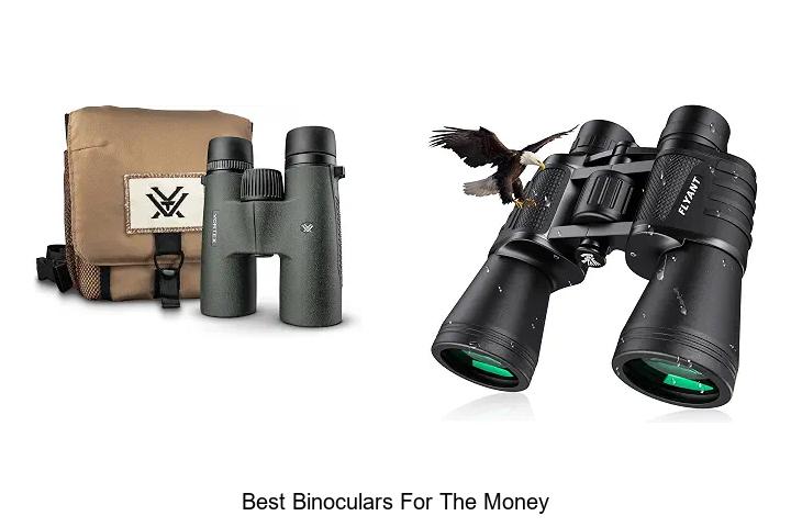 best binoculars for the money
