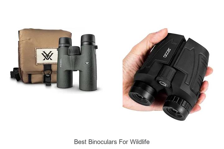 best binoculars for wildlife