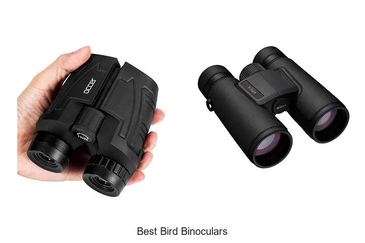 best bird binoculars
