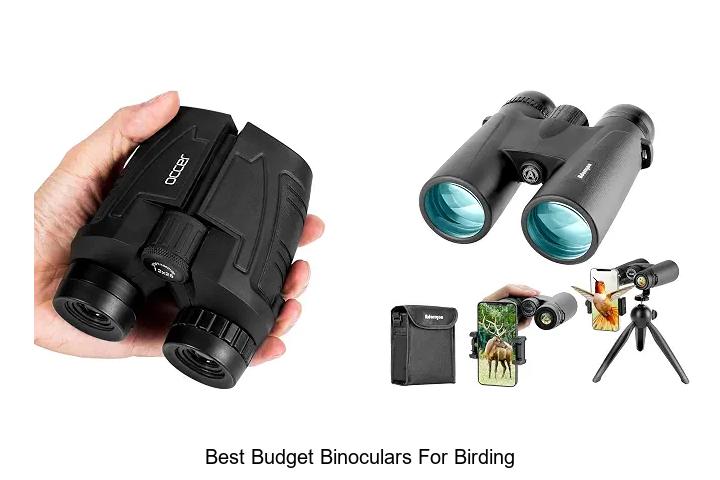 best budget binoculars for birding
