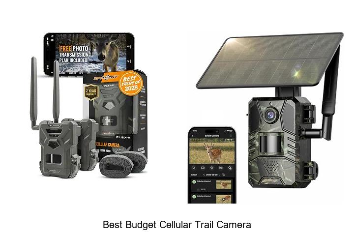 best budget cellular trail camera