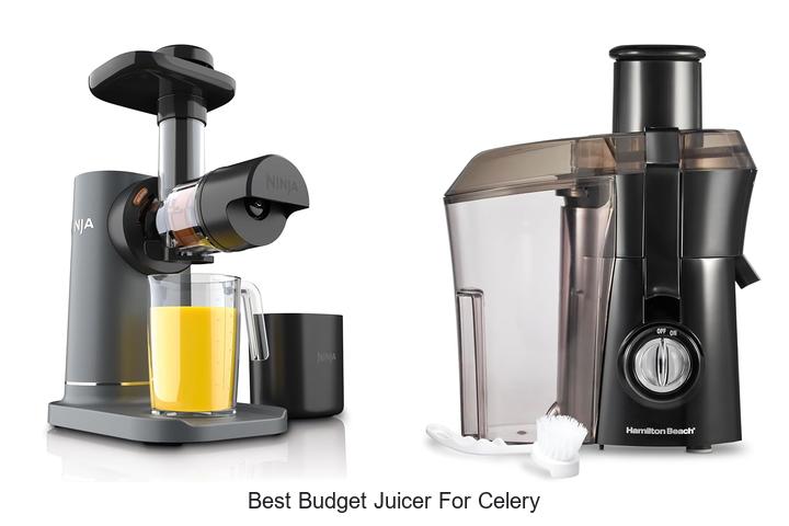 best budget juicer for celery