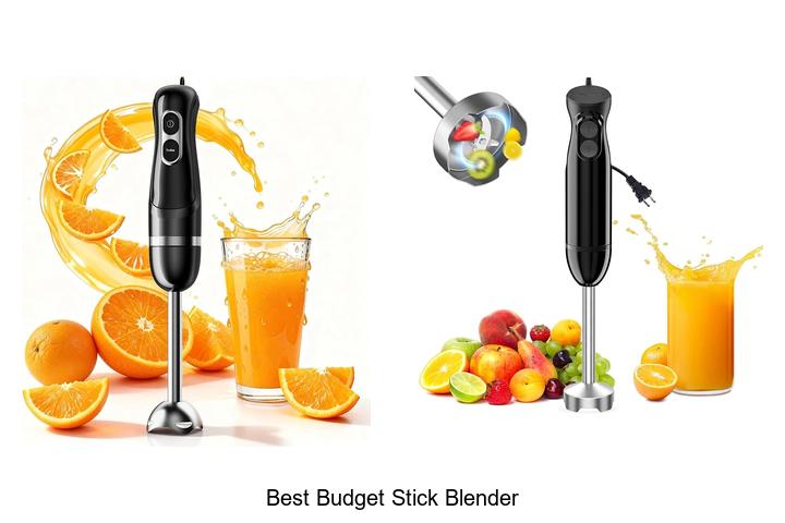 best budget stick blender