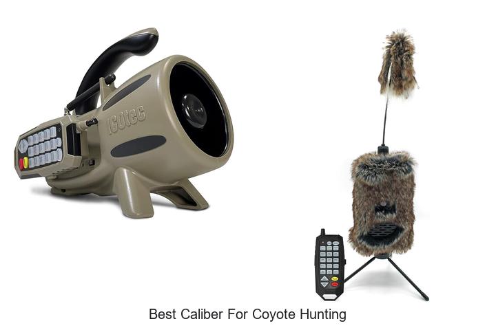 best caliber for coyote hunting