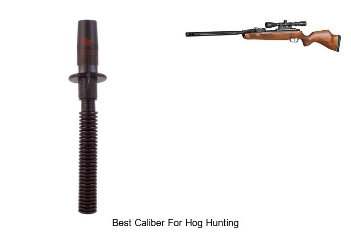 best caliber for hog hunting
